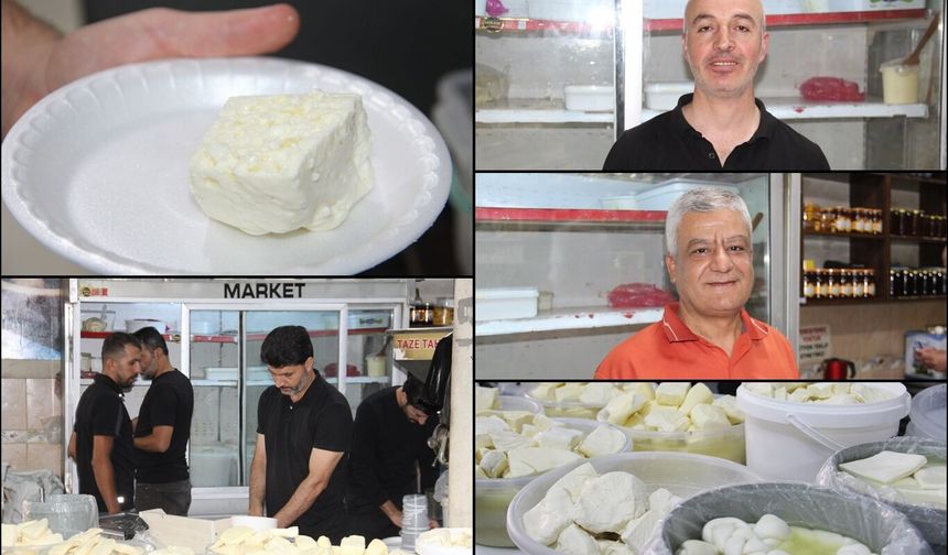 Batman'da peynir fiyatları cep yakıyor: Koyun peyniri 650 liraya ulaştı
