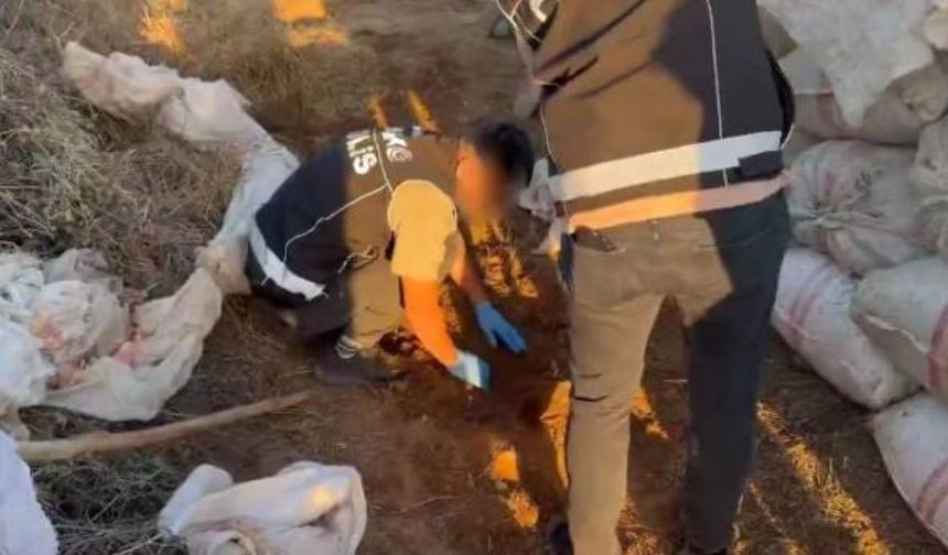 Bingöl'de 4 kilo 450 gram esrar ele geçirildi