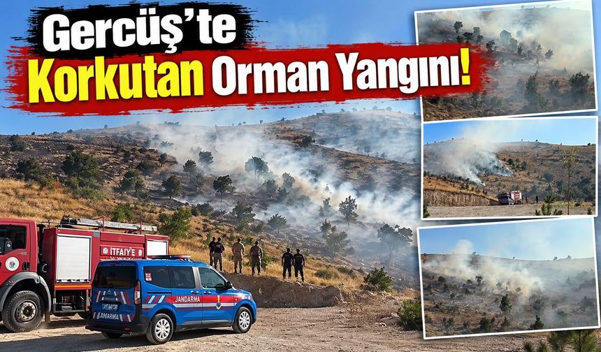 Gercüş’te Korkutan Orman Yangını!