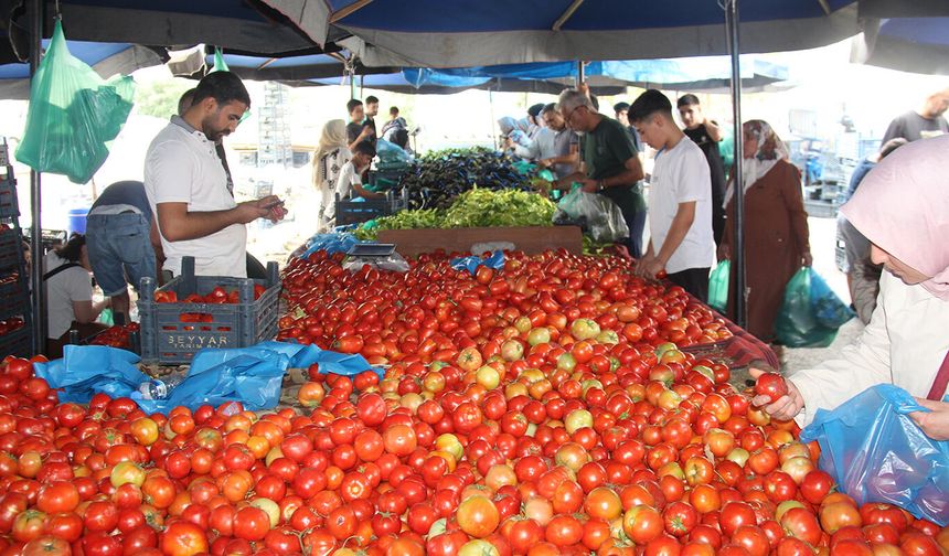 Semt pazarlarında konserve hareketliliği