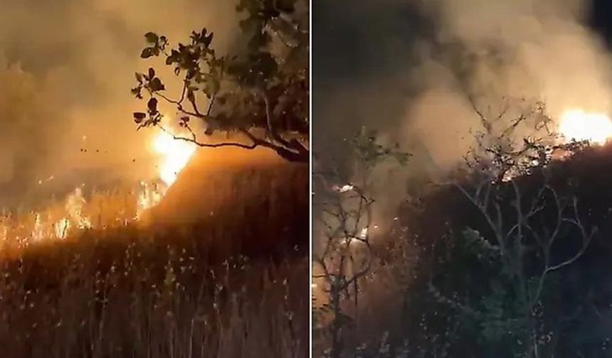 Siirt'te kontrol altına alınan yangın gece yeniden başladı