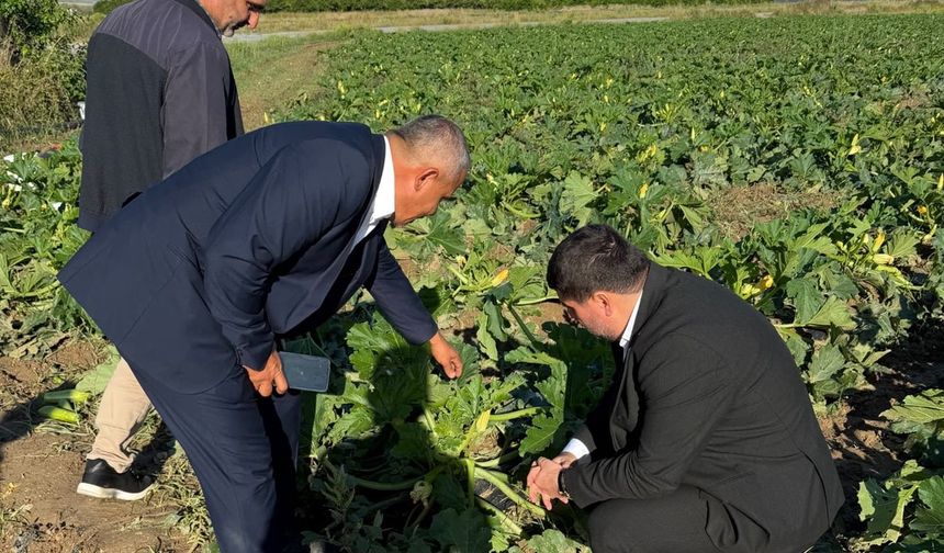 HÜDA PAR Antalya İl Başkanı Durmaz, tarım arazileri zarara uğrayan çiftçilerle bir araya geldi
