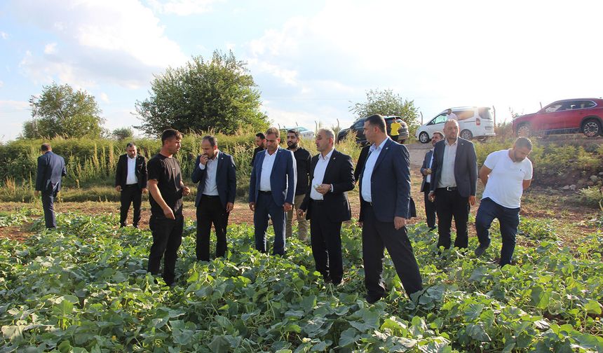 HÜDA PAR Milletvekili Demir: Verimli topraklarımız sahipsiz bırakılıyor