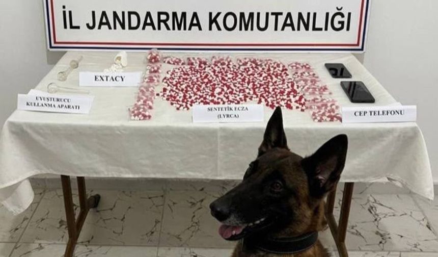 Komşu ilde uyuşturucu operasyonu: 2 bin 650 hap ele geçirildi