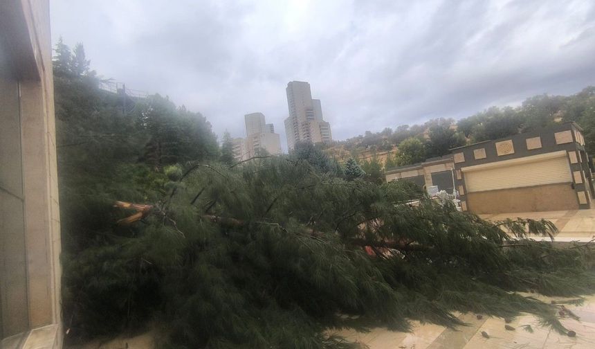 Mardin'de sağanak yağış hayatı olumsuz etkiledi