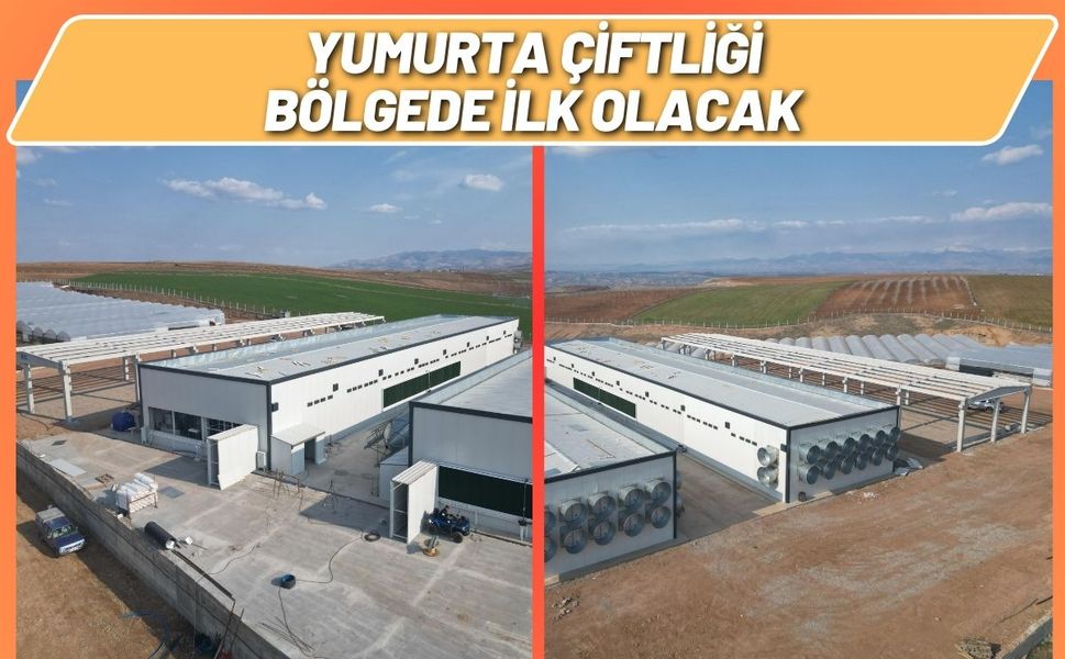 Yumurta Çiftliği Bölgede İlk Olacak