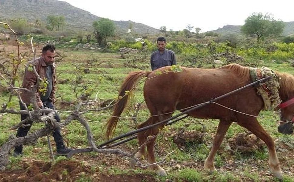 Gercüş’ün Köylerinde Tarım, At ve Çapanın Omzunda Sürüyor