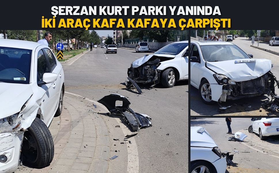 Şerzan Kurt Parkı Yanında İki Araç Kafa Kafaya Çarpıştı