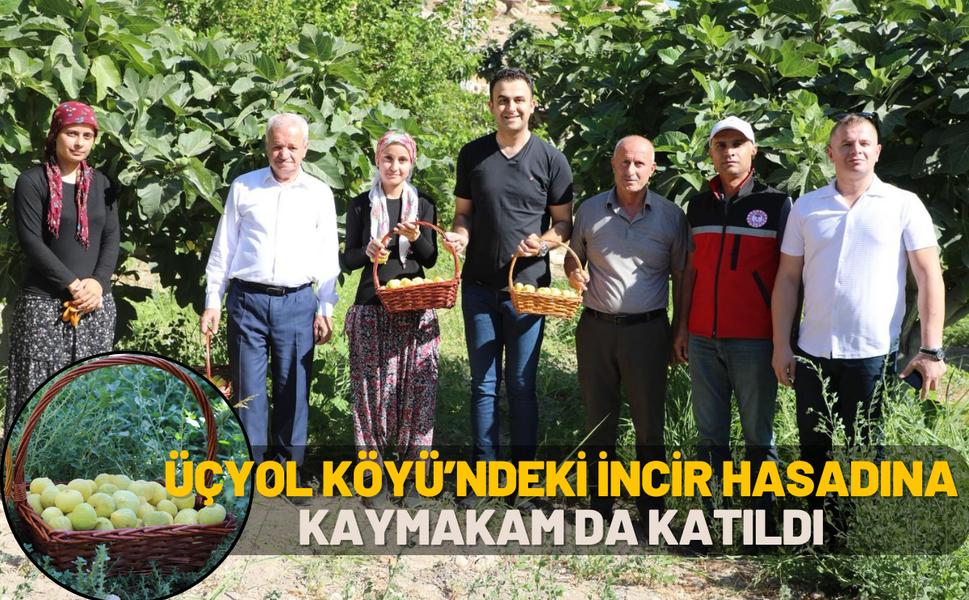 Üçyol Köyü’ndeki incir hasadına kaymakam da katıldı