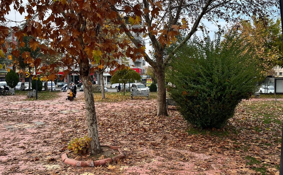 Batman’da Kışın Sessiz Güzelliği: Kartpostallık Manzaralar