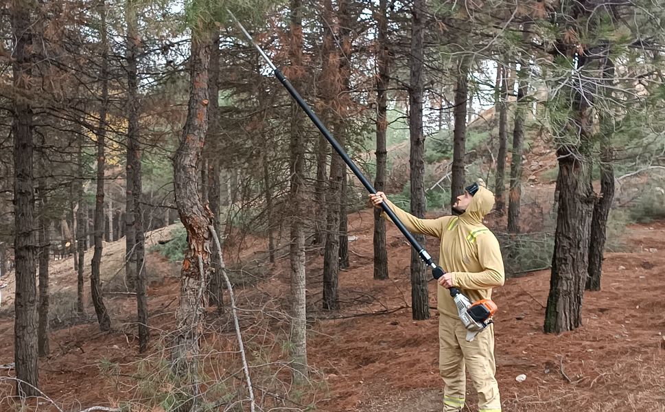 Beşiri’de Çam Ağaçlarına "Nefes" Operasyonu