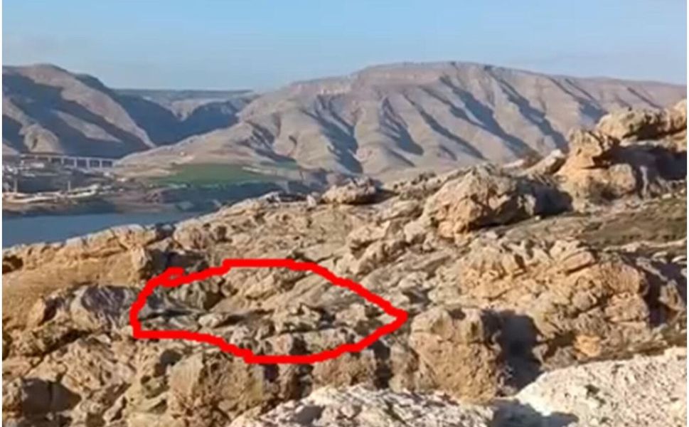 Batman'da dağ keçileri sürü halinde görüntülendi