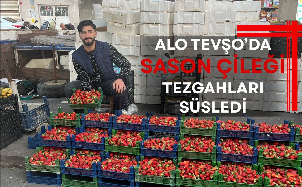 Alo Tevşo’da Sason Çileği Tezgahları Süsledi