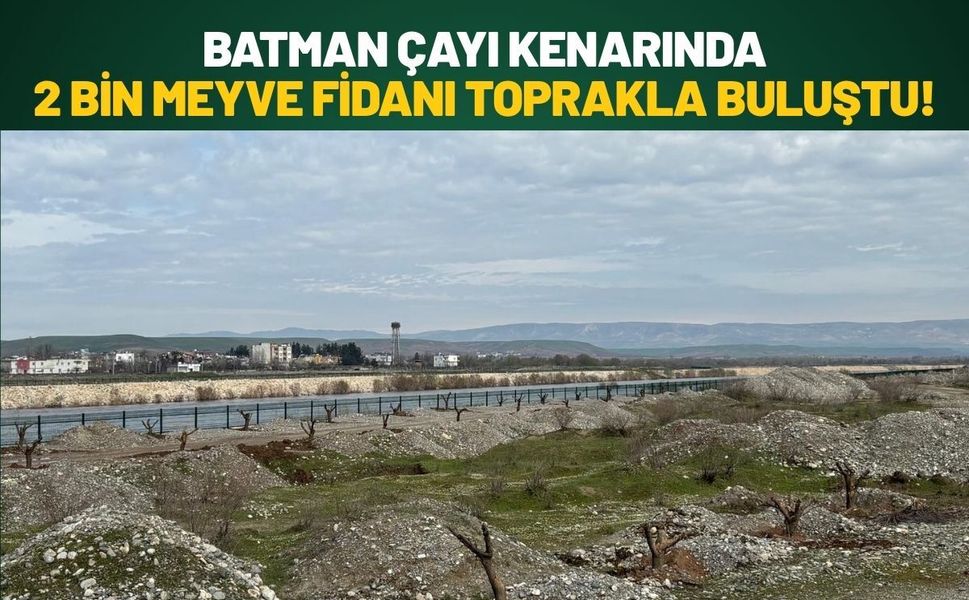 Batman Çayı Kenarında 2 Bin Meyve Fidanı Toprakla Buluştu!