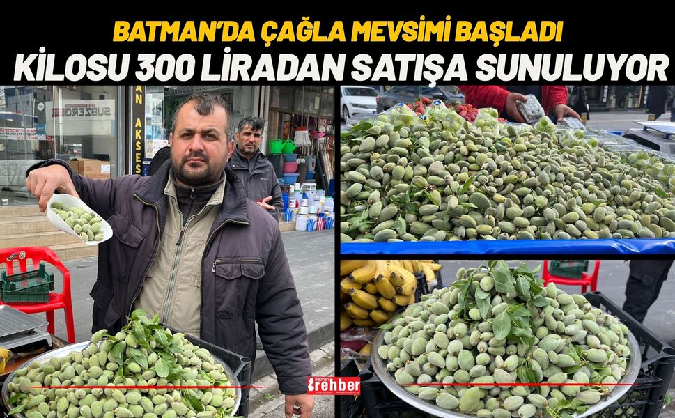 Batman’da Çağla Mevsimi Başladı: Kilosu 300 Liradan Satışa Sunuluyor