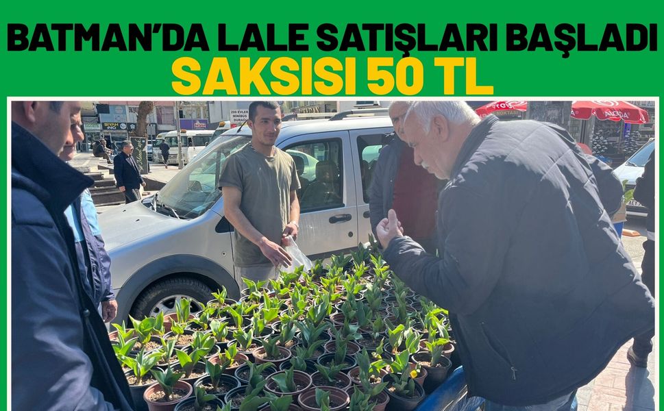 Batman’da Lale Satışları Başladı: Saksısı 50 TL