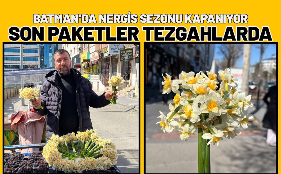 Batman’da Nergis Sezonu Kapanıyor: Son Paketler Tezgahlarda