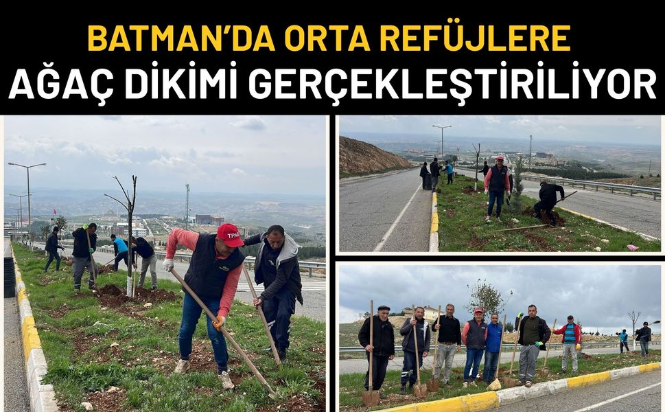 Batman’da Orta Refüjlerde Ağaçlandırma Çalışması Başlatıldı