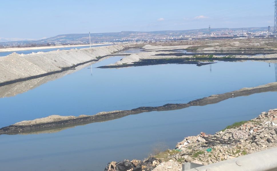 Çevrecilerden Sert Tepki: "Bu Bir Skandaldır!"