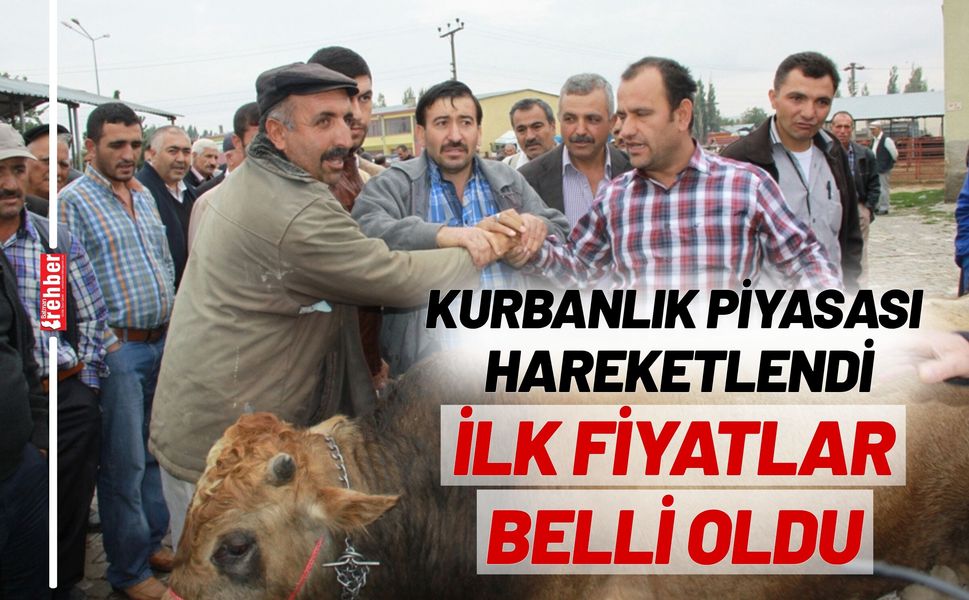 Kurbanlık Piyasası Hareketlendi: İlk Fiyatlar Belli Oldu