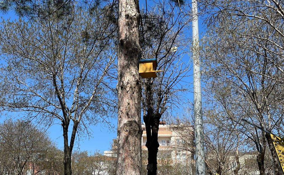 Batman’ın Kalbinde Doğaya Küçük Ama Anlamlı Dokunuş: Atatürk Parkı’ndaki Kuş Yuvaları Dikkat Çekiyor