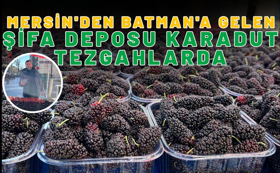 Mersin'den Batman'a Gelen Şifa Deposu Karadut Tezgahlarda