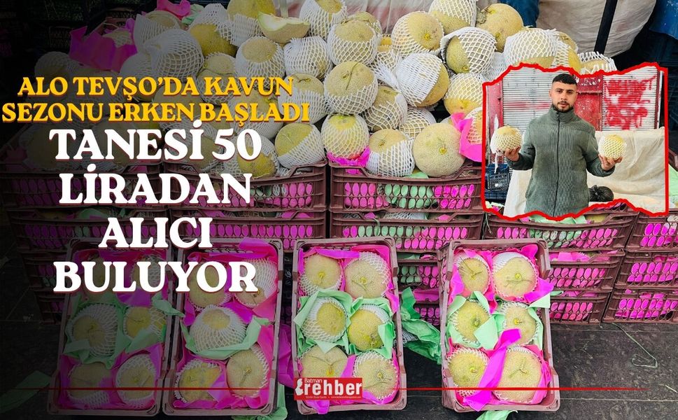Alo Tevşo’da Kavun Sezonu Erken Başladı: Tanesi 50 Liradan Alıcı Buluyor