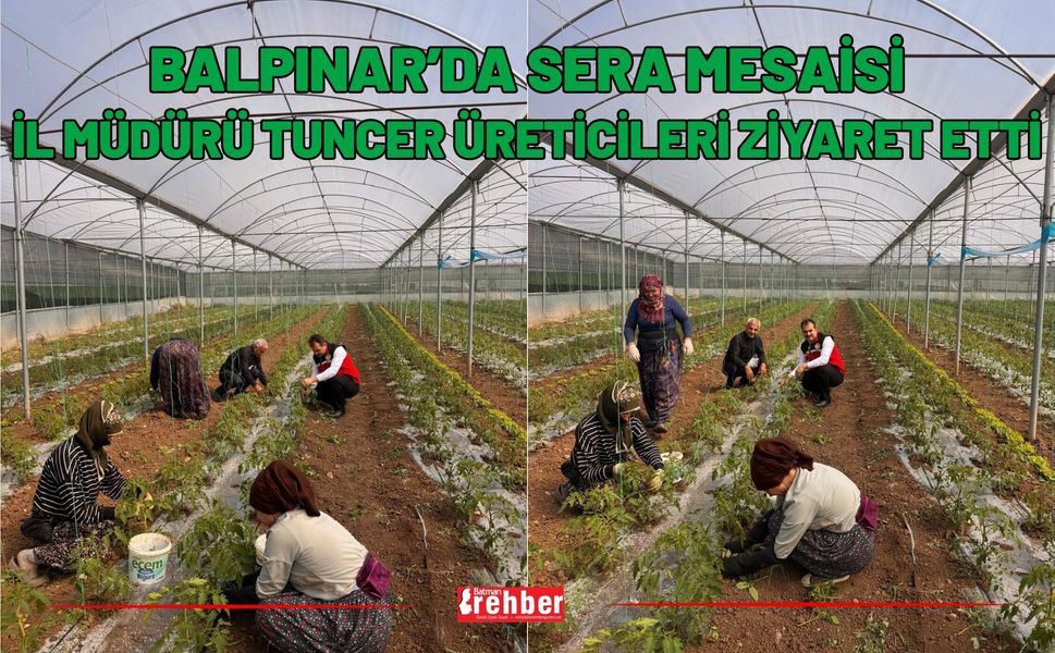 Balpınar’da Sera Mesaisi: İl Müdürü Tuncer Üreticileri Ziyaret Etti