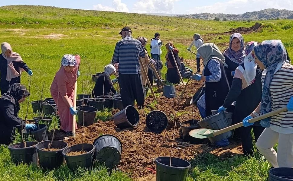 Batman Üniversitesinde 10 Bin Meyve Fidanı Toprakla Buluşuyor