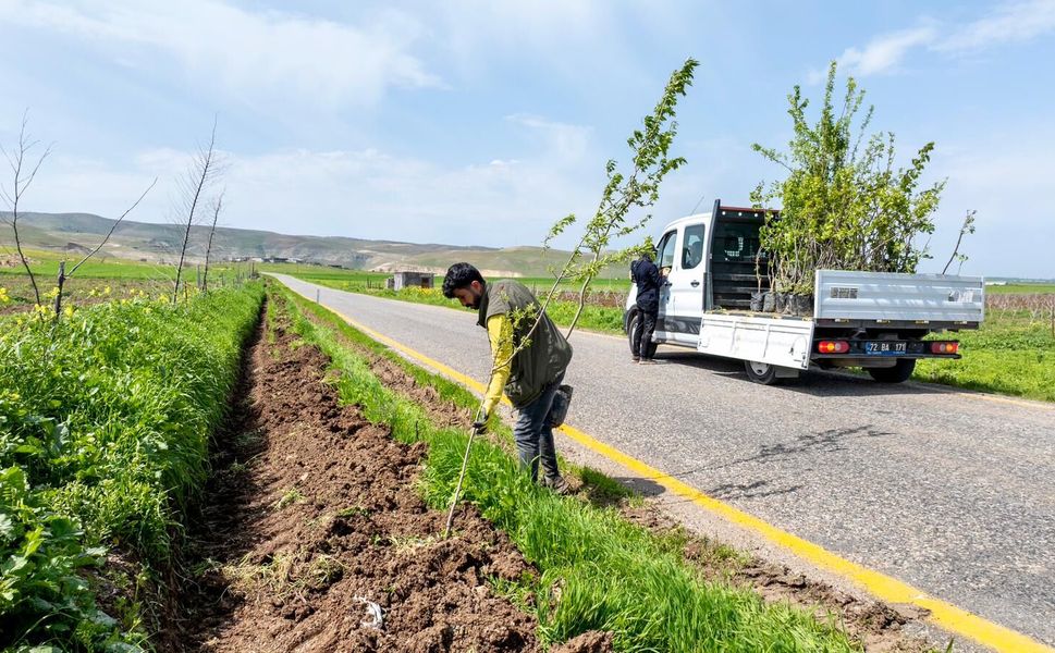 Batman’da 7 Köy Yoluna 3 Bin 300 Meyve Fidanı Dikildi