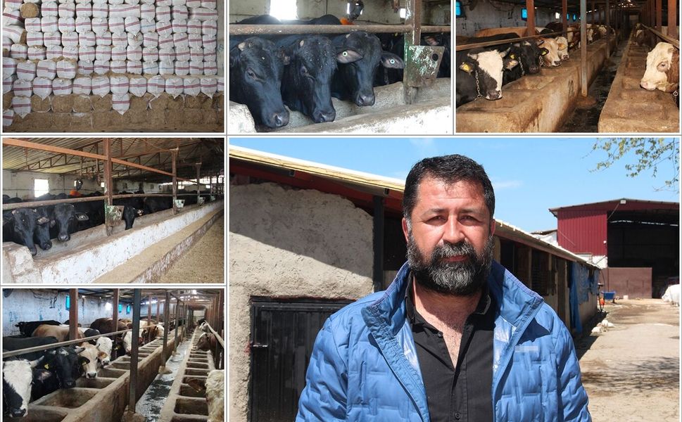 Batmanlı besicilerden uyarı: Önlem alınmazsa sektör bitecek