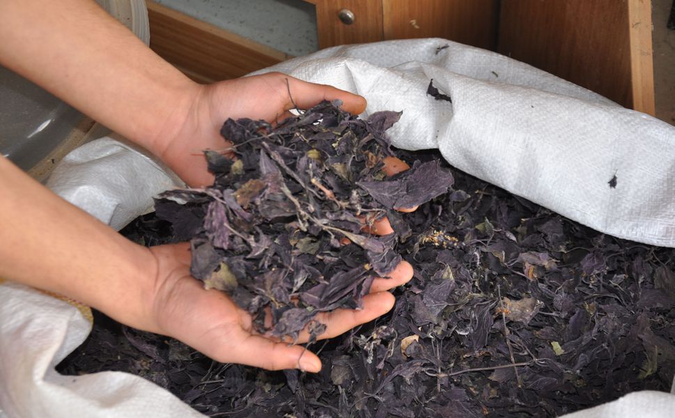 Reyhan Şerbeti Kültürü Giderek Yaygınlaşıyor