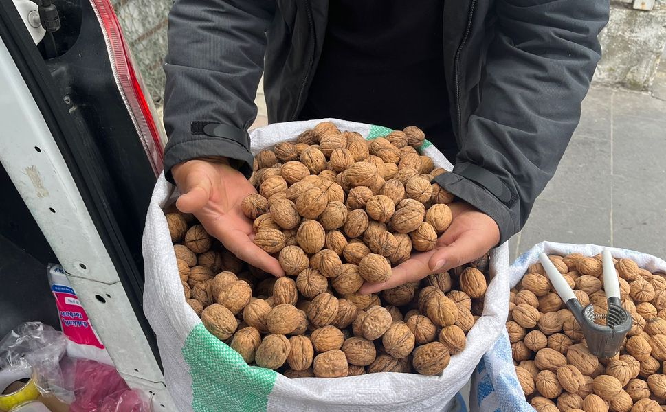 Hakkâri Cevizi İlgi Görüyor