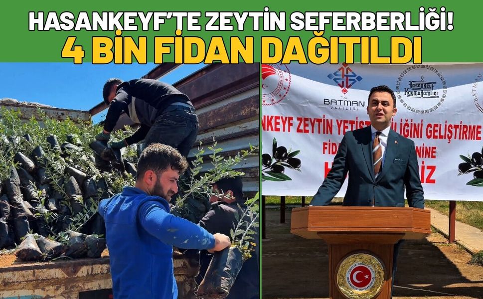 Hasankeyf’te Zeytin Seferberliği! 4 Bin Fidan Dağıtıldı