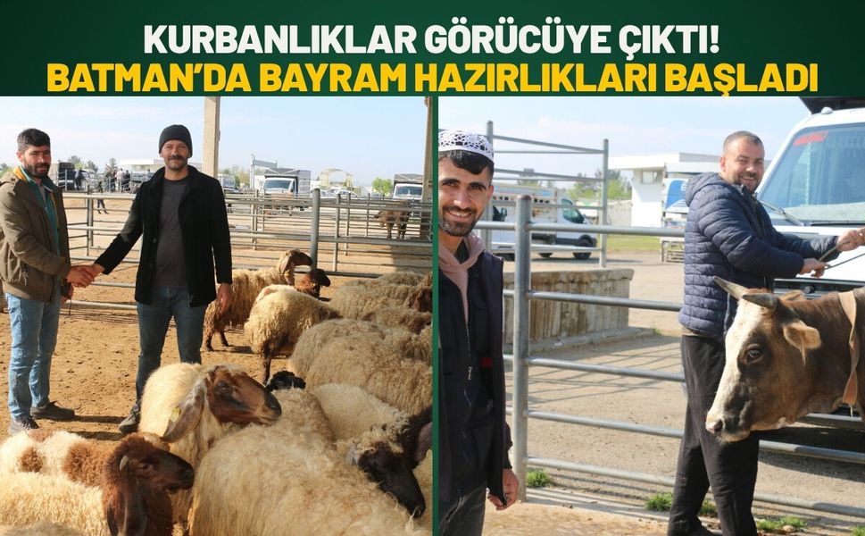 Kurbanlıklar Görücüye Çıktı! Batman’da Bayram Hazırlıkları Başladı