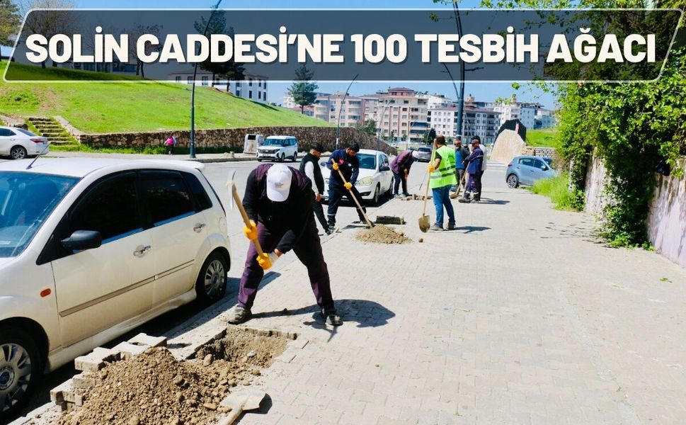 Solin Caddesi’ne 100 Tesbih Ağacı