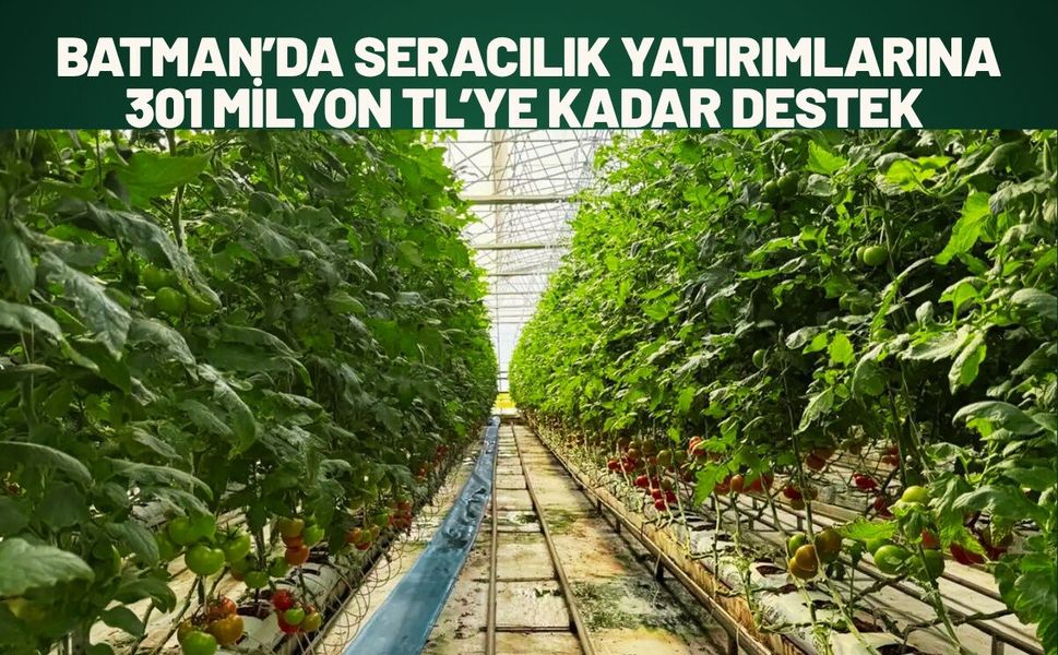 Batman’da Seracılık Yatırımlarına 301 Milyon TL’ye Kadar Destek