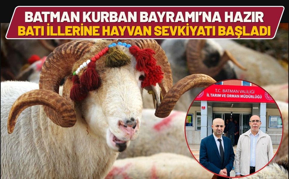 Batman Kurban Bayramı’na Hazır: Batı İllerine Hayvan Sevkiyatı Başladı