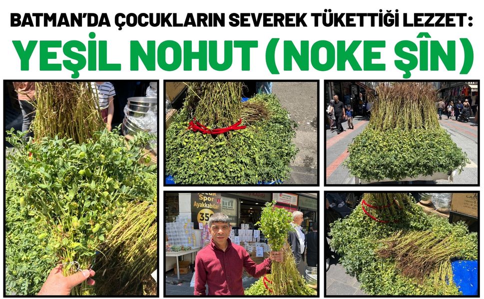 Batman’da Çocukların Severek Tükettiği Lezzet: Yeşil Nohut (Noke Şîn)