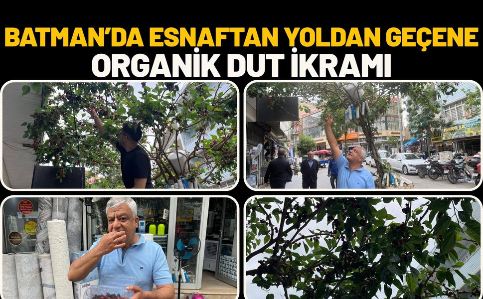 Batman’da Esnaftan Yoldan Geçene Organik Dut İkramı