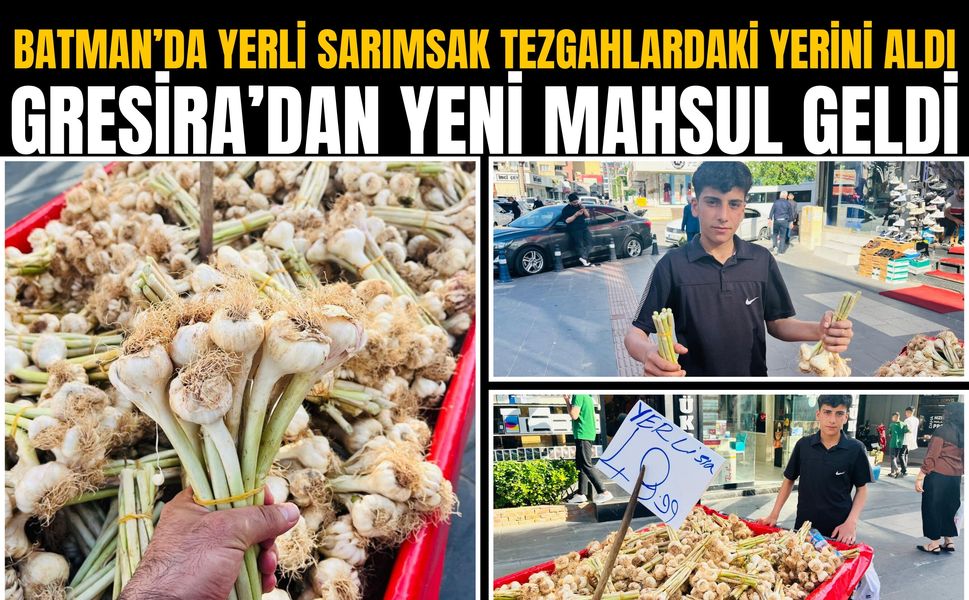 Batman’da Yerli Sarımsak Tezgahlardaki Yerini Aldı: Gresira’dan Yeni Mahsul Geldi