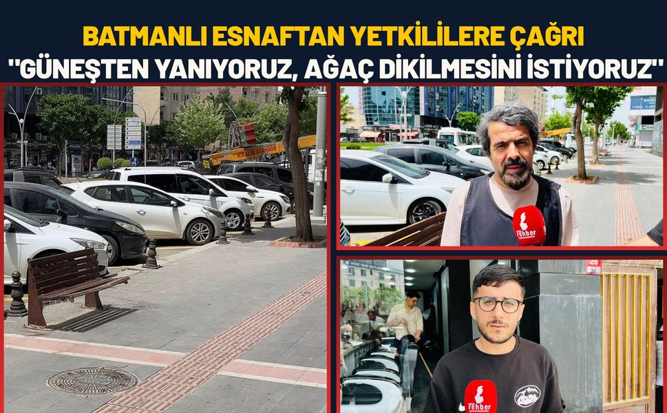 Batmanlı Esnaftan Yetkililere Çağrı: "Güneşten Yanıyoruz, Ağaç Dikilmesini İstiyoruz"