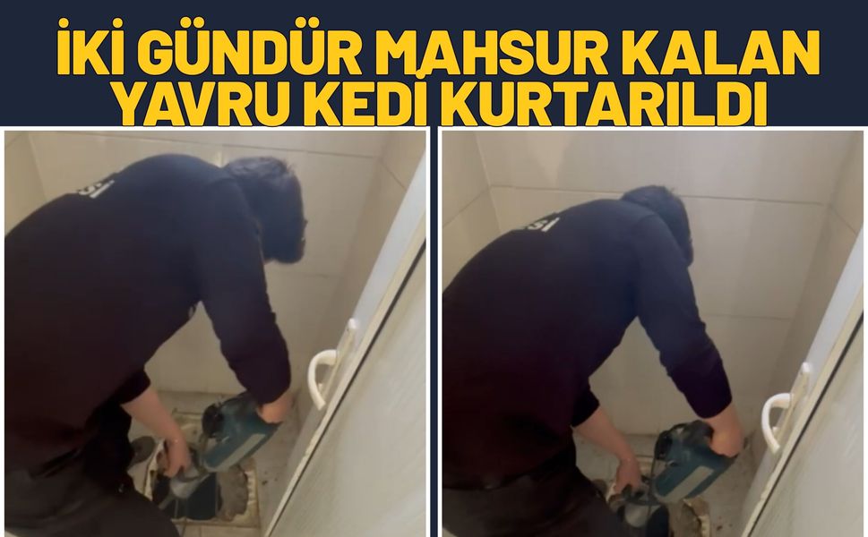 İki Gündür Mahsur Kalan Yavru Kedi Kurtarıldı