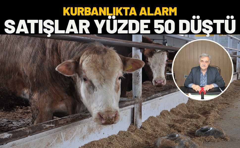 Kurbanlıkta Alarm: Satışlar Yüzde 50 Düştü