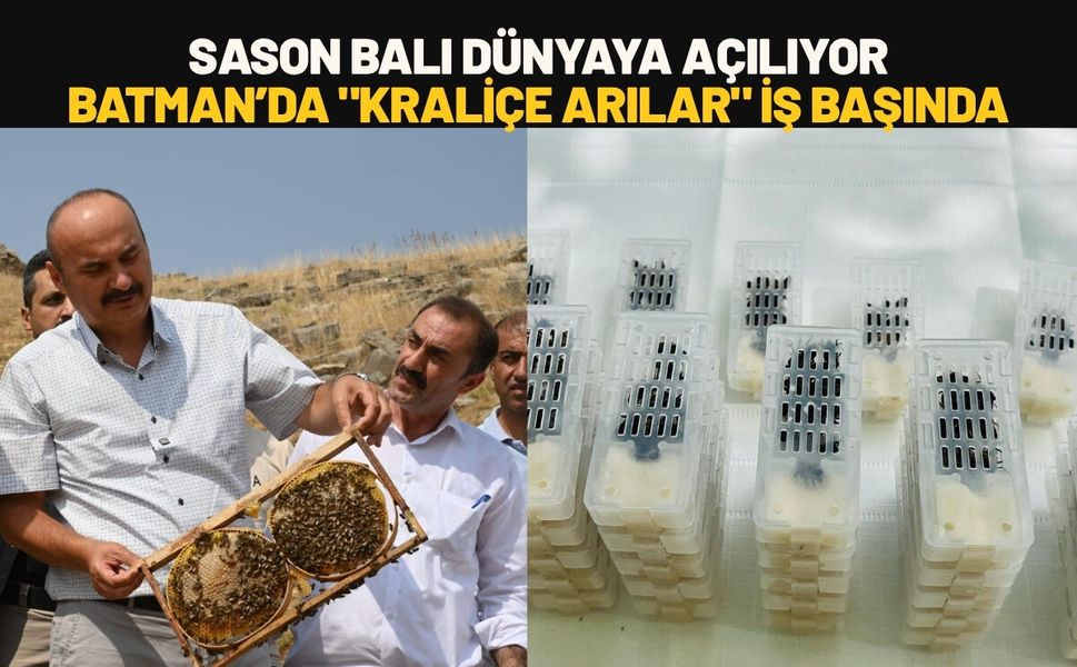 Sason Balı Dünyaya Açılıyor: Batman’da "Kraliçe Arılar" İş Başında