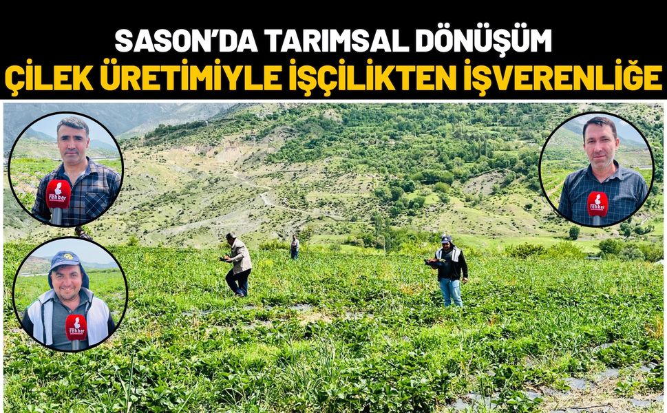 Sason’da Tarımsal Dönüşüm: Çilek Üretimiyle İşçilikten İşverenliğe