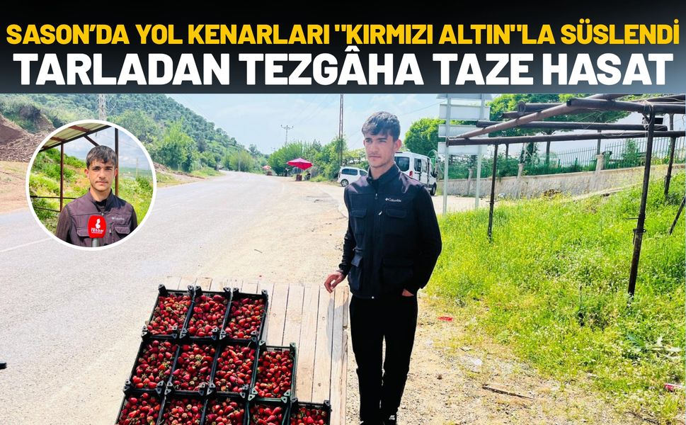 Sason’da Yol Kenarları "Kırmızı Altın"la Süslendi: Tarladan Tezgâha Taze Hasat
