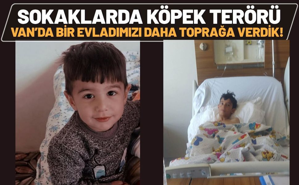 Sokak Köpekleri Van’da Bir Çocuğu Parçaladı Birini de Ağır Yaraladı!