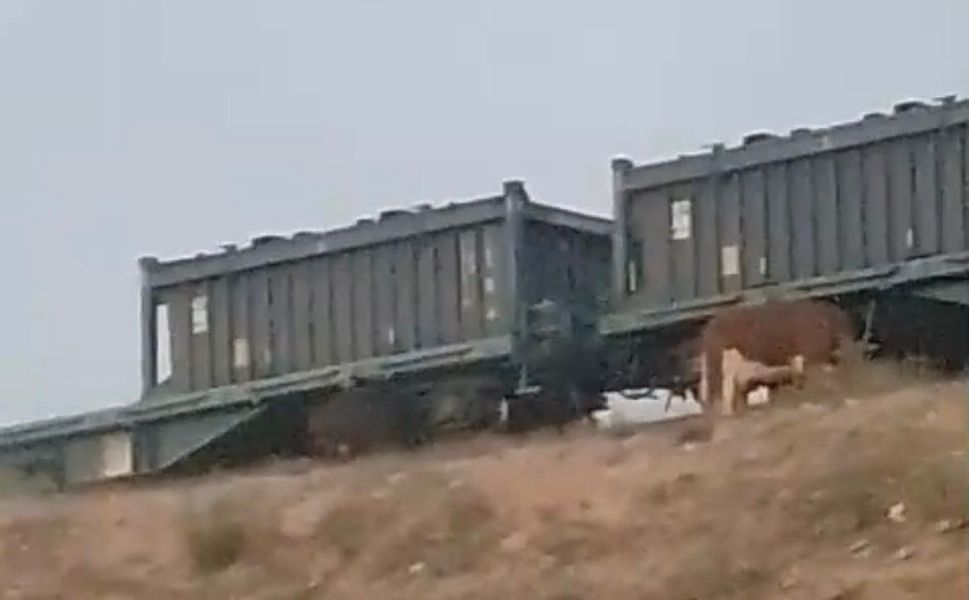 Batman-Diyarbakır Seferini Yapan Yük Treni Arızalandı: Seferler Aksadı