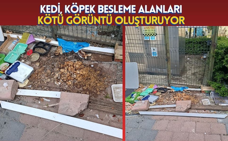 Kedi, Köpek Besleme Alanları Kötü Görüntü Oluşturuyor